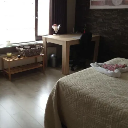De Steenberg Tweepersoonskamer Met Grote Badkamer, Kitchenette En Tuinzicht Op De Eerste Verdieping * ゲール